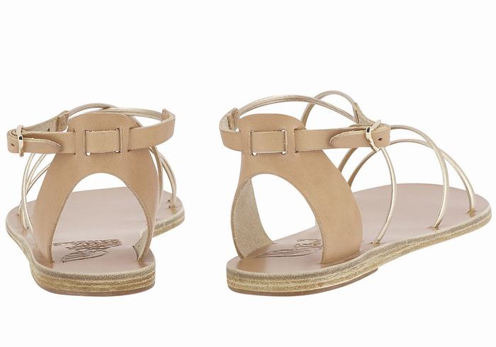 Sandales Bride Cheville Ancient Greek Sandals Meloivia   | EBA-2793130